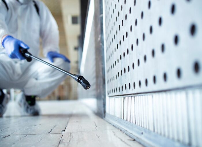 Дезинфекция от клопов: полное руководство