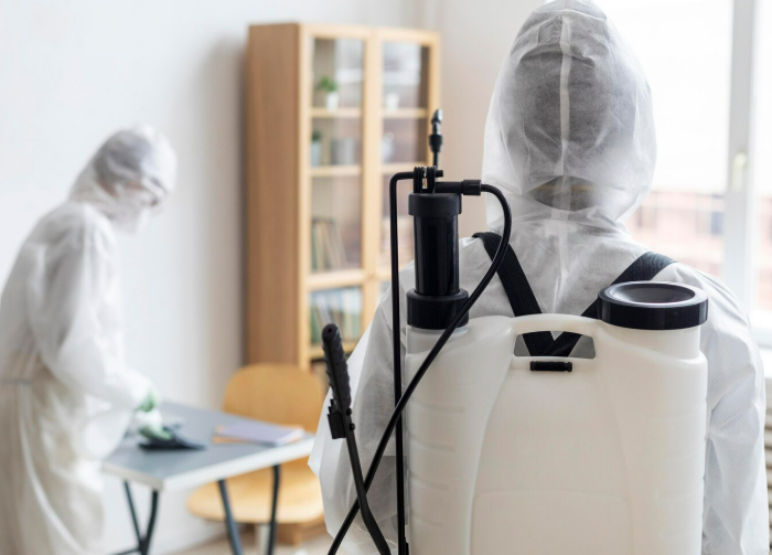 Травля клопов: эффективные методы и советы по борьбе с насекомыми